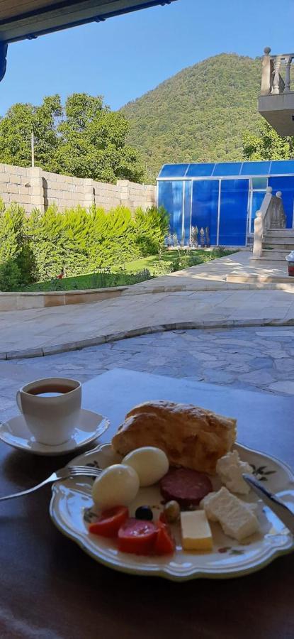 Viva Hotel Gabala With Sauna, Pool, Waterfall And Fireplace Extérieur photo
